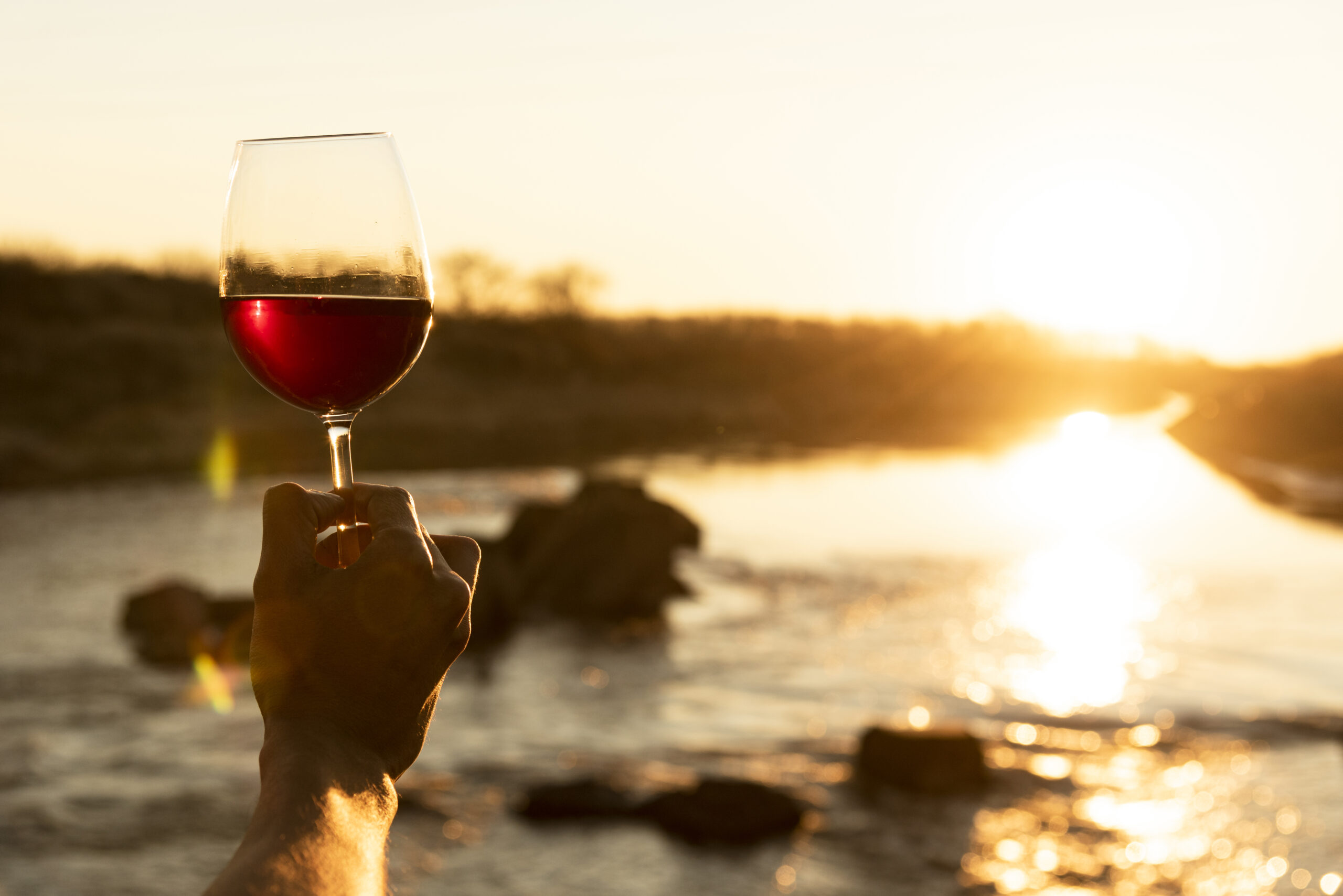 Sagralea a Salea d'Albenga e Sapore di Mare a Catanzaro: due feste d’estate tra vino e mare