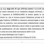 illecita diffusione bis