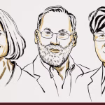 Nobel per la Medicina 2025: le cellule T regolatrici che impediscono al sistema immunitario di distruggerci