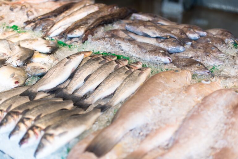 il pesce fa festa