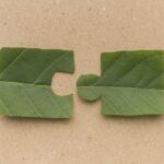 pezzo di puzzle foglia