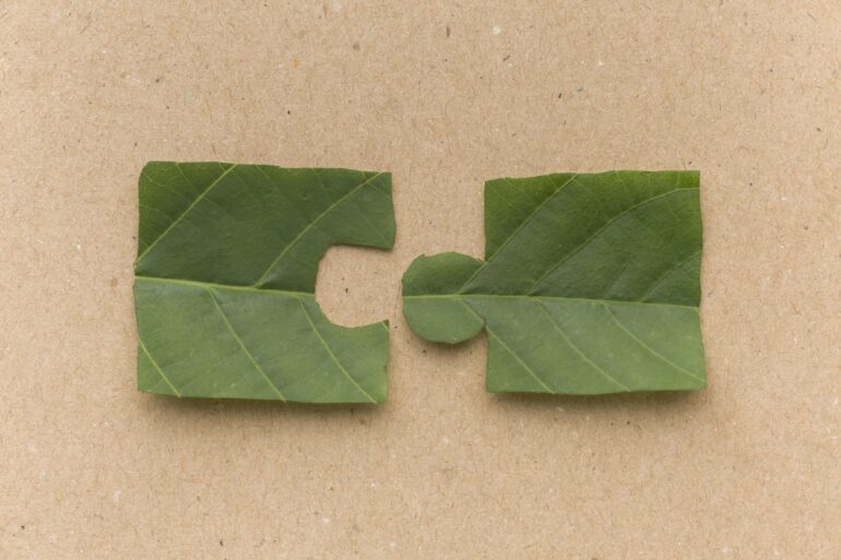 pezzo di puzzle foglia