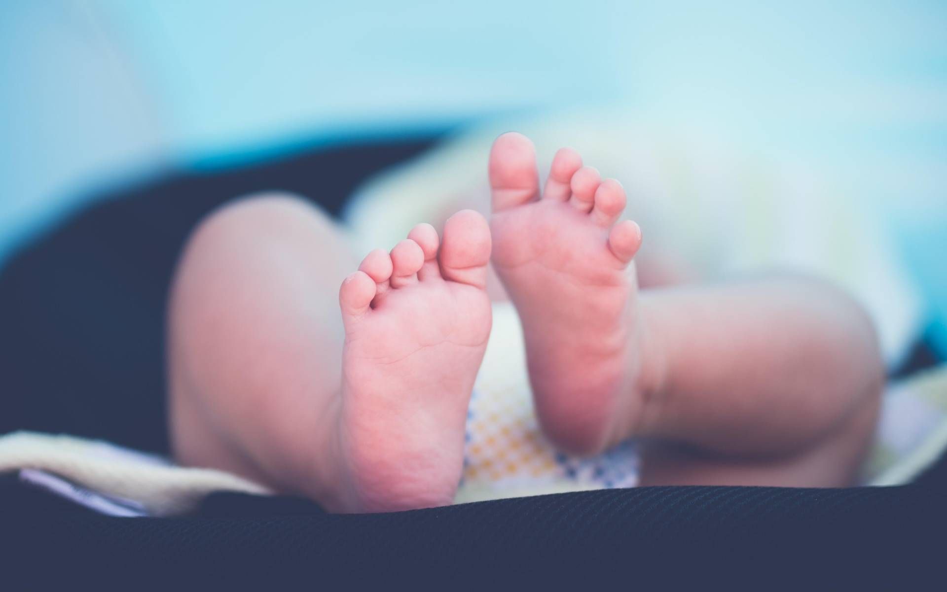 186111641 l neonato 123rf