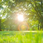 caldo sole parco 123rf