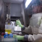 laboratorio virus ipa