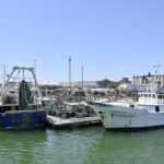 2874066f0150df9b5b993b98ee671a8d