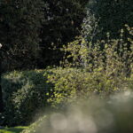 39c1050f9596092c7fa22ae99a78f6db