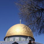 78a5eefd590973463a1f518e1c18614d