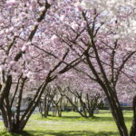 af0807ed48a261e9bb1d76c2073e6221