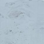 ca260d04467cb77a8a12c99aeb8e63cf