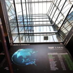 cdbe1ccdae4f0d927f03027ea42cc009