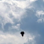 d490c273d732034d403f62c688e3d563