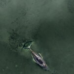 23d6c37211fb060c8e904aed13bac227