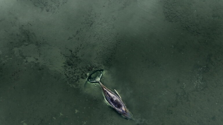 23d6c37211fb060c8e904aed13bac227