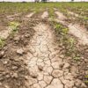 In Ue 156mila chilometri quadrati colpiti dalla siccità, come 6 volte la Sicilia