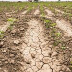 276548c8ca46008e5fd4c15ae3f8b4a7