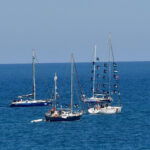 313a8487de604827dd42880e261ffb96