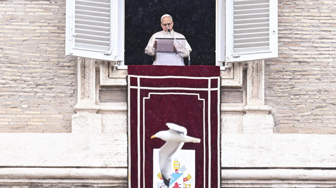 Il Papa, ‘ladro chi fa la guerra, ruba un futuro di pace’