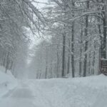 576b452063f01b478a181af75249e634