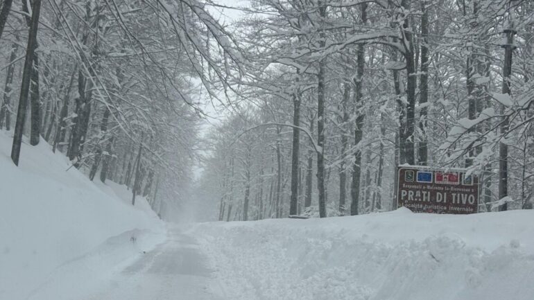 576b452063f01b478a181af75249e634