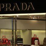 6b103e11eaa4b2e044f6ac4dc7a9e320