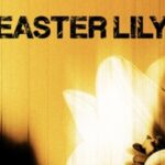 714e7db4eb2c046d968ba967a827fc92