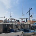 ab7d886068e43c7bfafb84e0f5e68c91