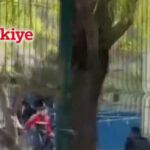 b21a931d2059db9cec3232328b0304db