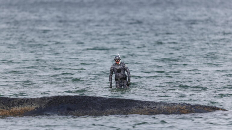 d5b2a94276cfac5ec55a6ab9543fffc3