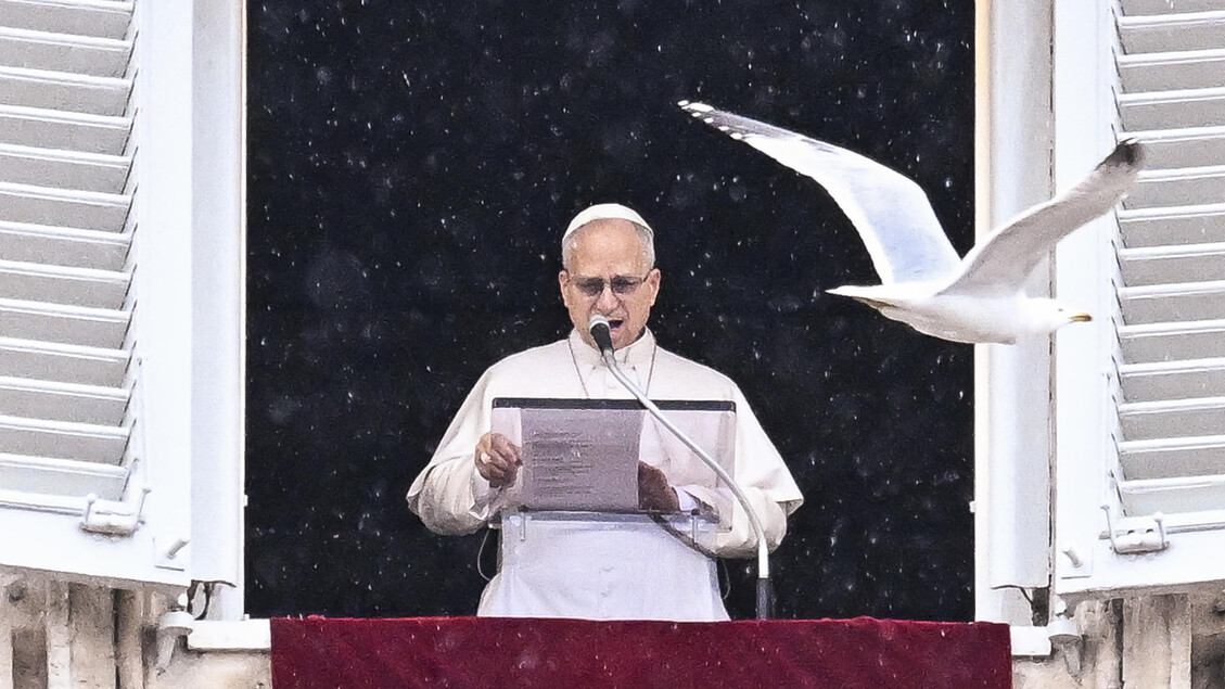 Il Papa, ‘le polarizzazioni e il disprezzo portano distruzione’