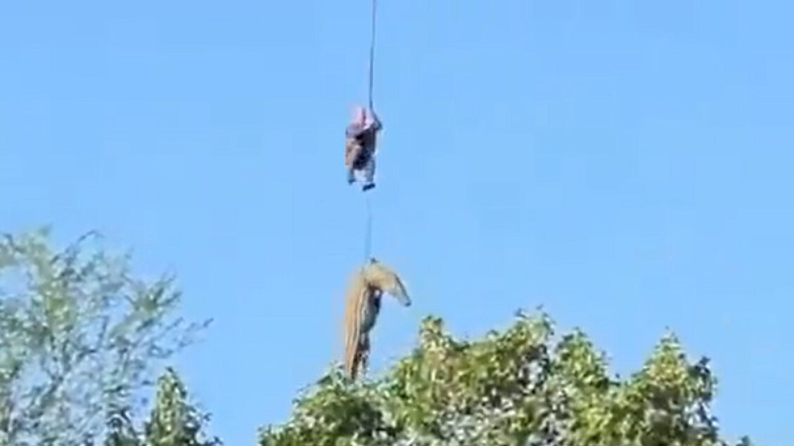 Resti umani nello stomaco di un coccodrillo in Sudafrica, forse è uomo scomparso