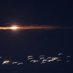 738f9588dc382a33d4a204d4ea3bb1a7