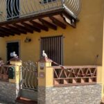 f80d1e9a71ade7eb051ef0e32a18c394
