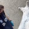 Nuovo video, chiazza di sangue sotto la testa di Fakir morto