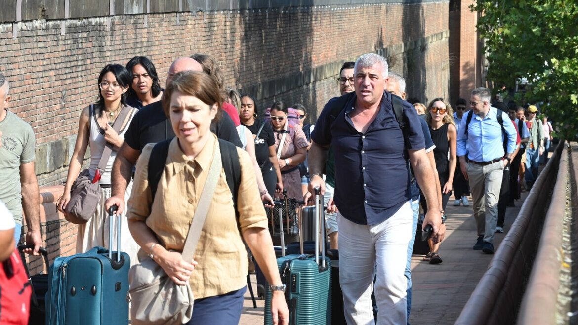 Fs, circolazione sospesa sulla Orte-Roma dopo investimento animali