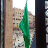 Palio di Siena rinviato per la pioggia a domani lunedì 17 luglio