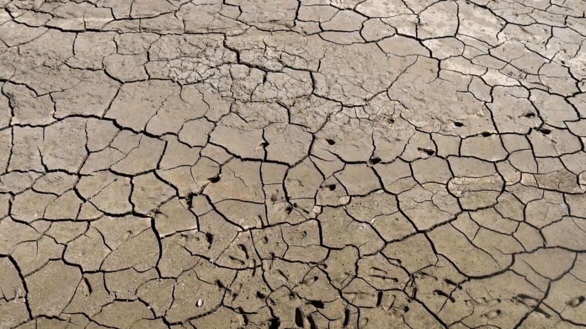 Guardian, ‘almeno 35.000 morti in Europa per ondate calore di questa estate’