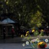 Barcellona ricorda le 16 vittime degli attentati jihadisti di 9 anni fa