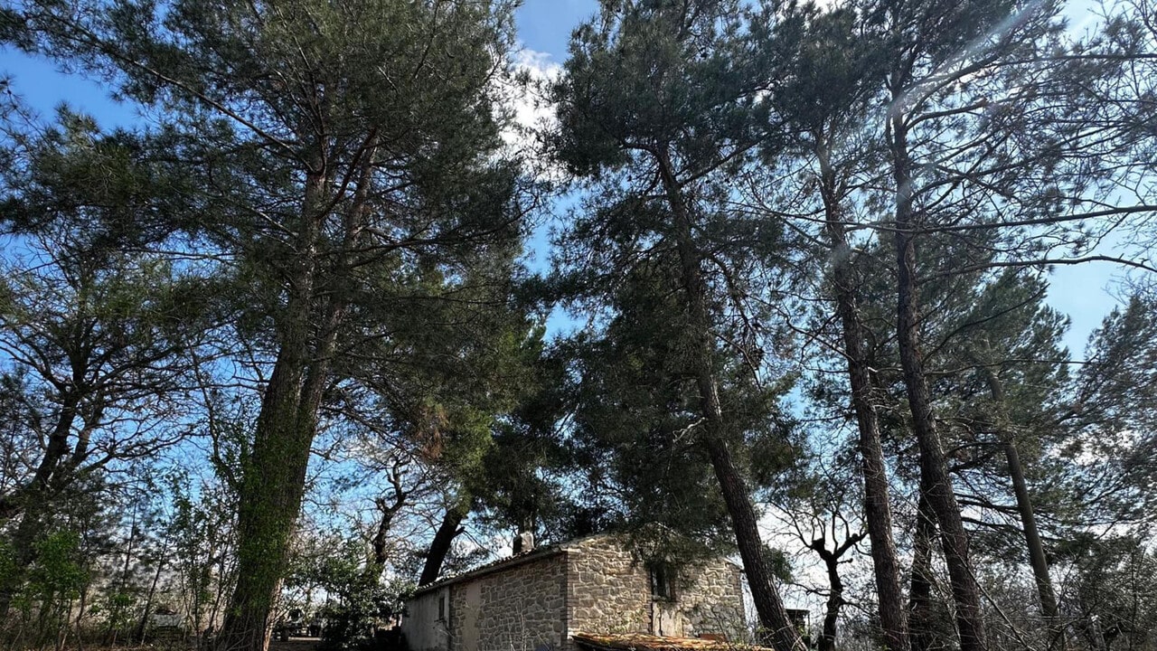 Sfondo