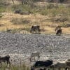 Honduras, riserve d’acqua della capitale sotto il 26%
