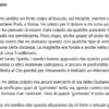 Donna ferita da piombino a Roma, in caserma il presunto responsabile