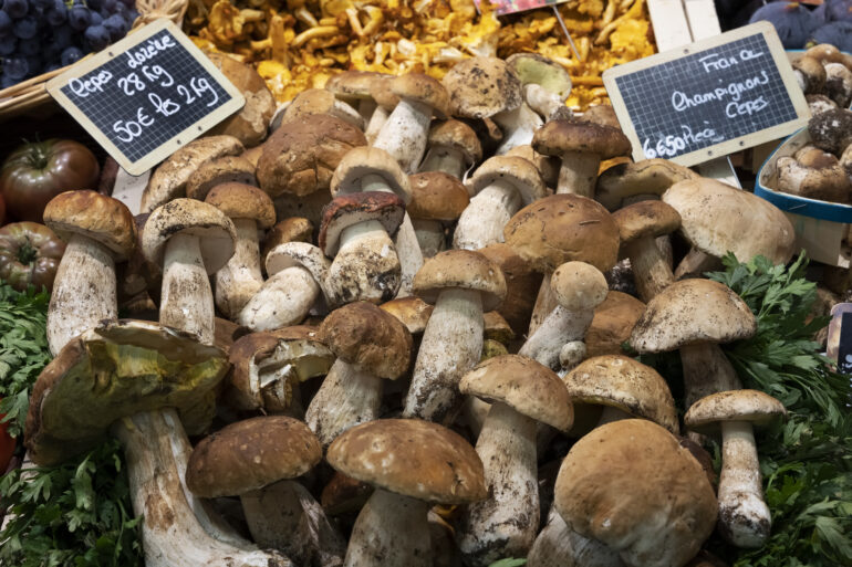 Fiera del Fungo di Borgotaro