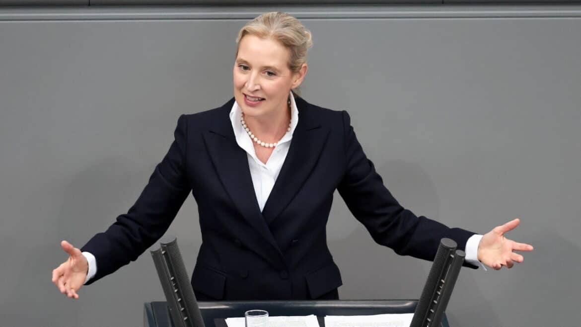 Alice Weidel, ‘Schengen non funziona, espellere i migranti’